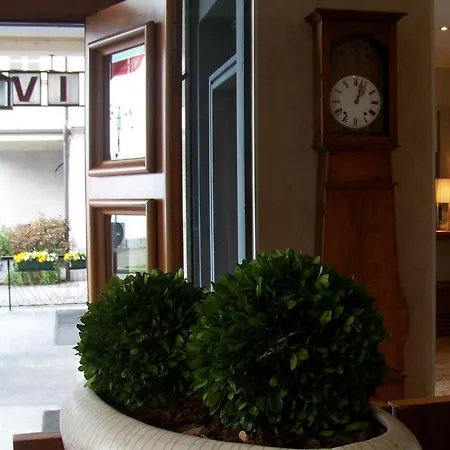 Szálloda Albergo Miralago Verbania